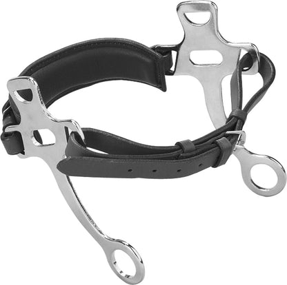 Short Shank Hackamore