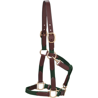 Web Halter