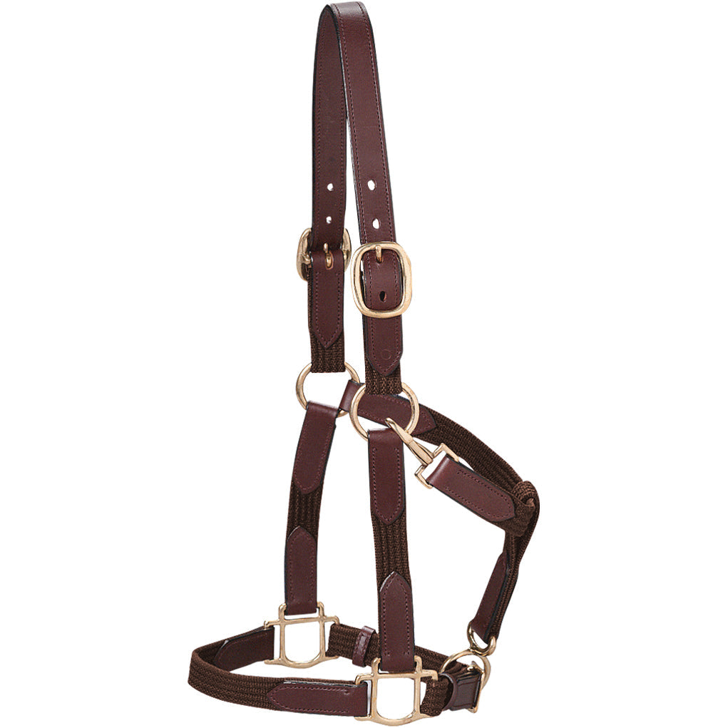 Web Halter