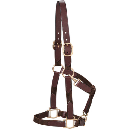 Web Halter