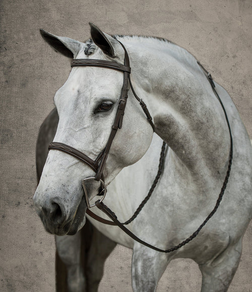 Hunter Fancy-Stitched Bridle