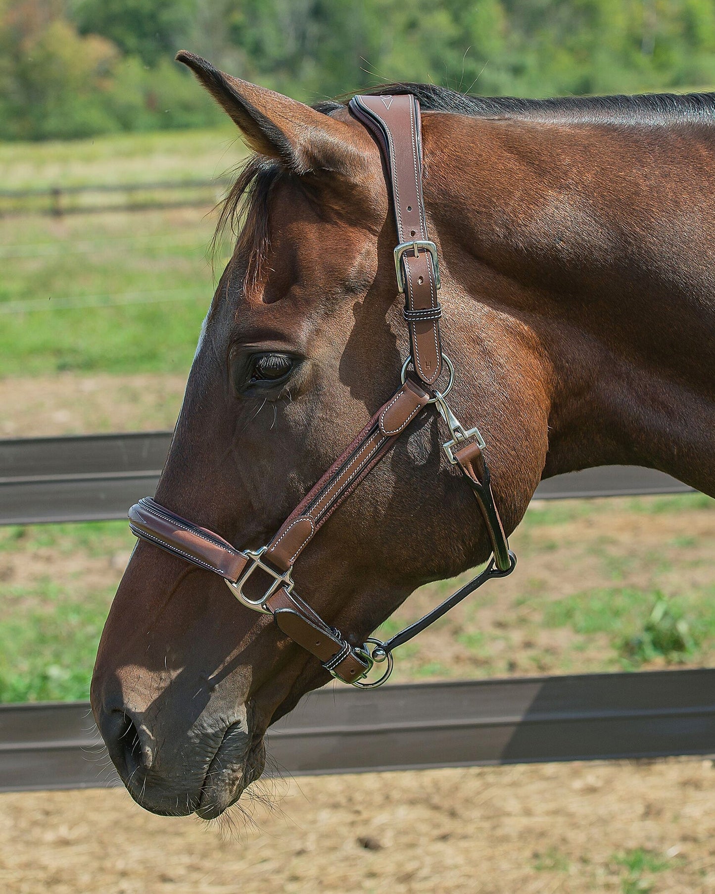Stress Free Halter with Fancy Contrast Stitching
