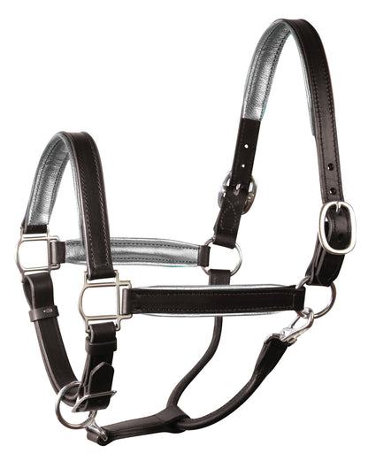 " Padded Leather Halter