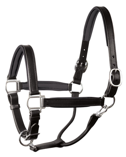 " Padded Leather Halter