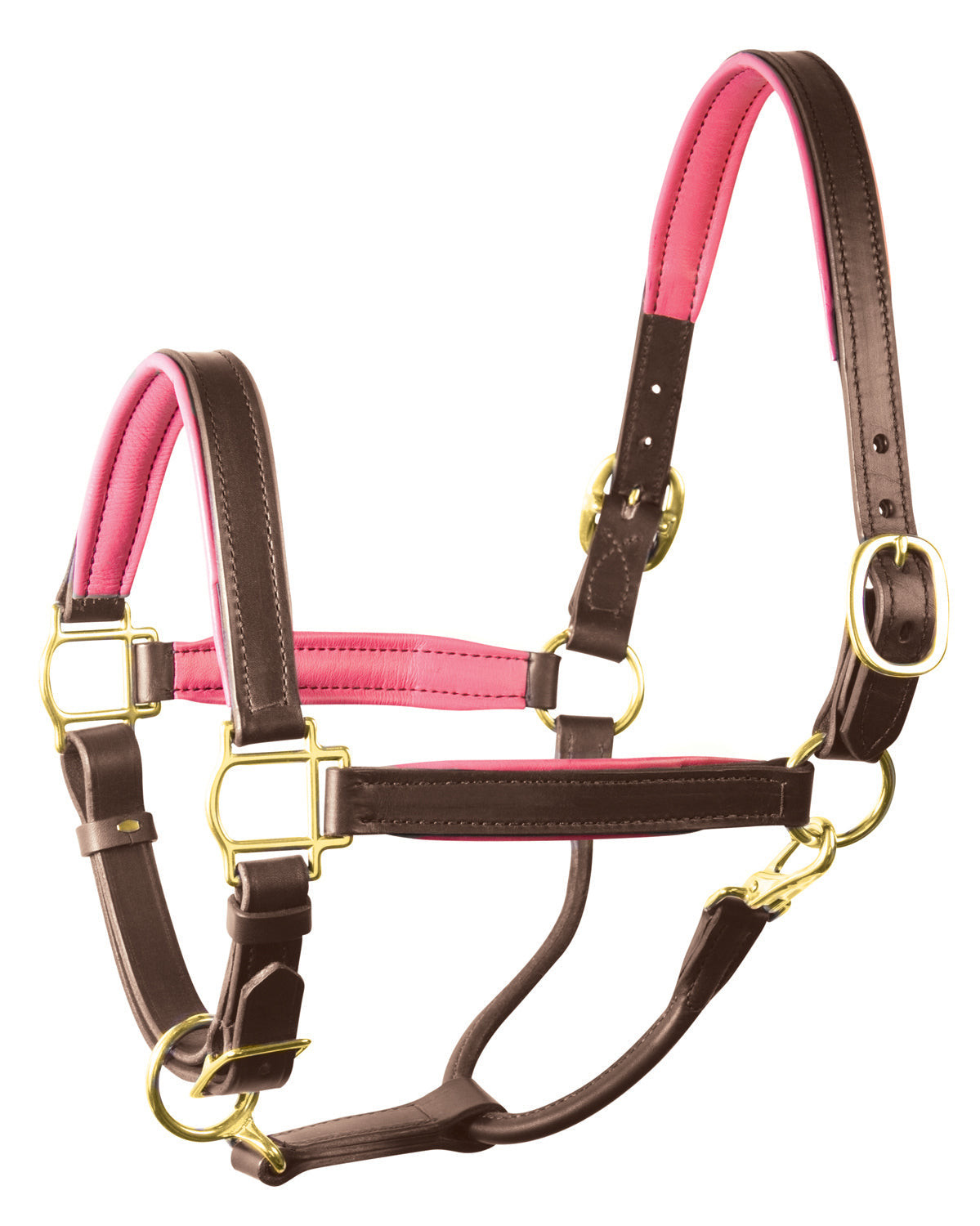 " Padded Leather Halter