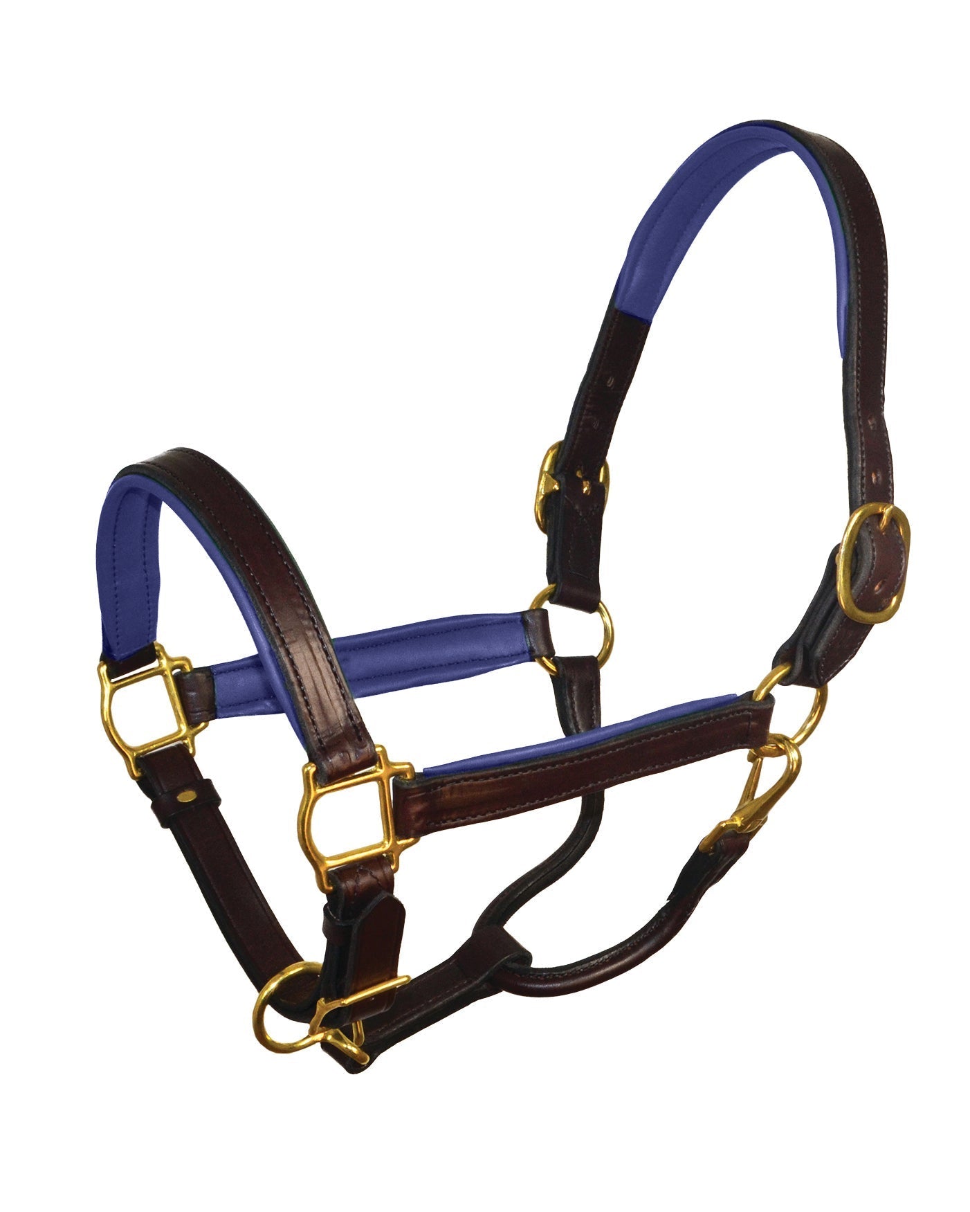 " Padded Leather Halter
