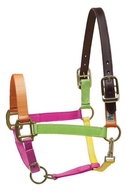 Premium Nylon Breakaway Halter