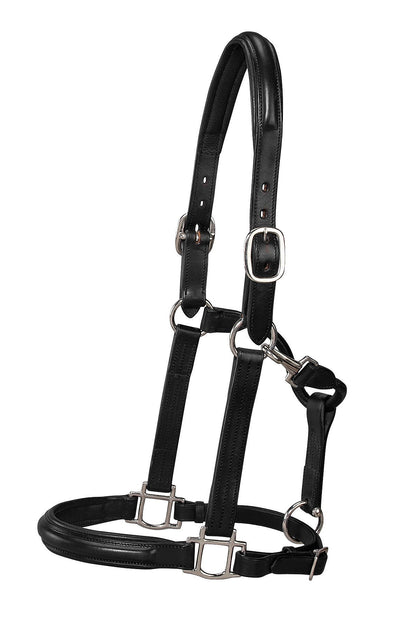 Classic Plain Raised Padded Halter