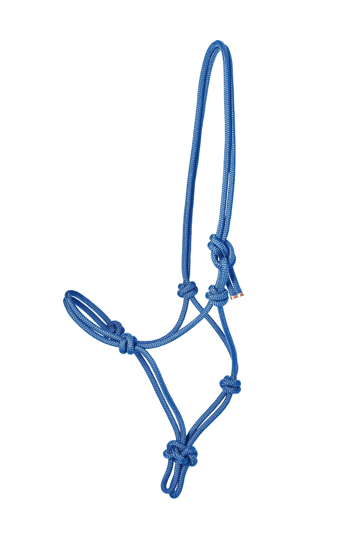 Rope Halter with Lead