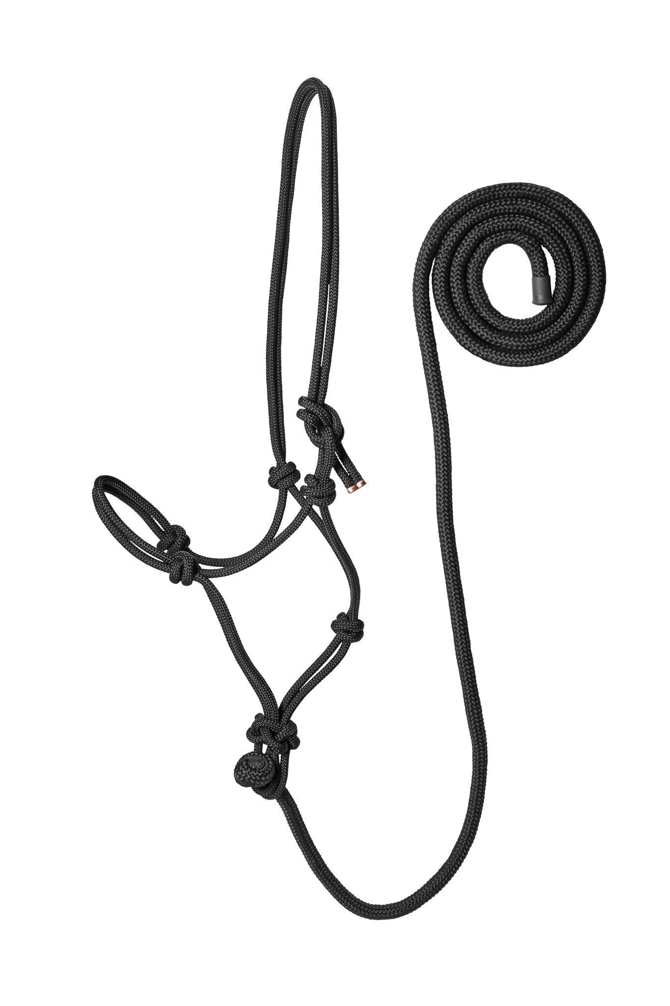 Rope Halter with Lead