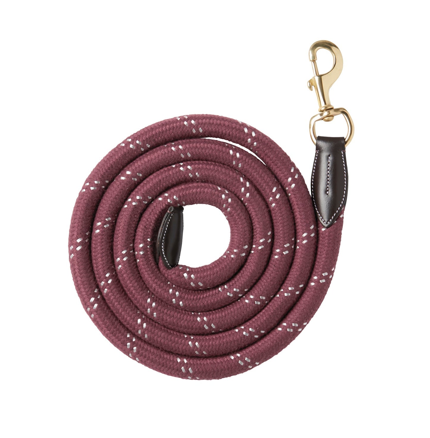 Leather & Rope Lead