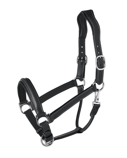 Ergonomic Halter