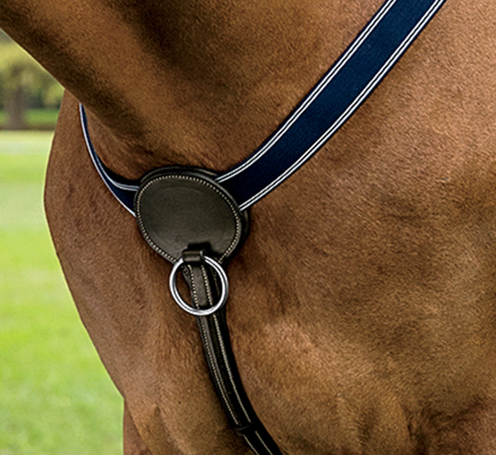 Point Breastplate