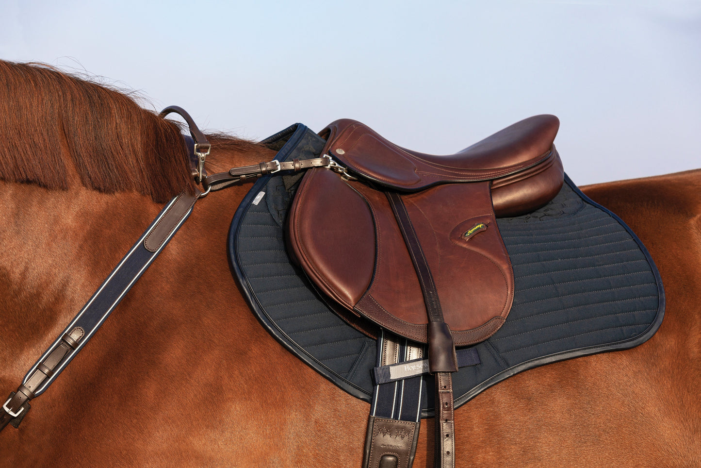 Three-Point Breastplate