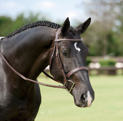 Wide Nose Hunter Bridle