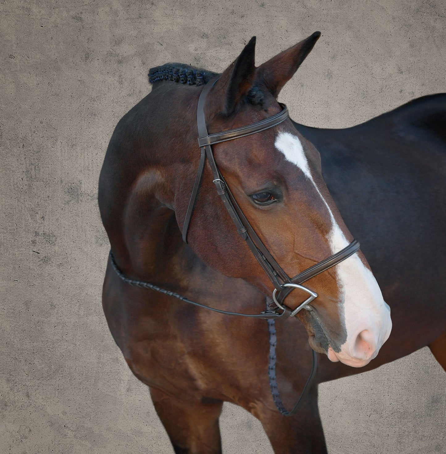 Classic Hunter Bridle