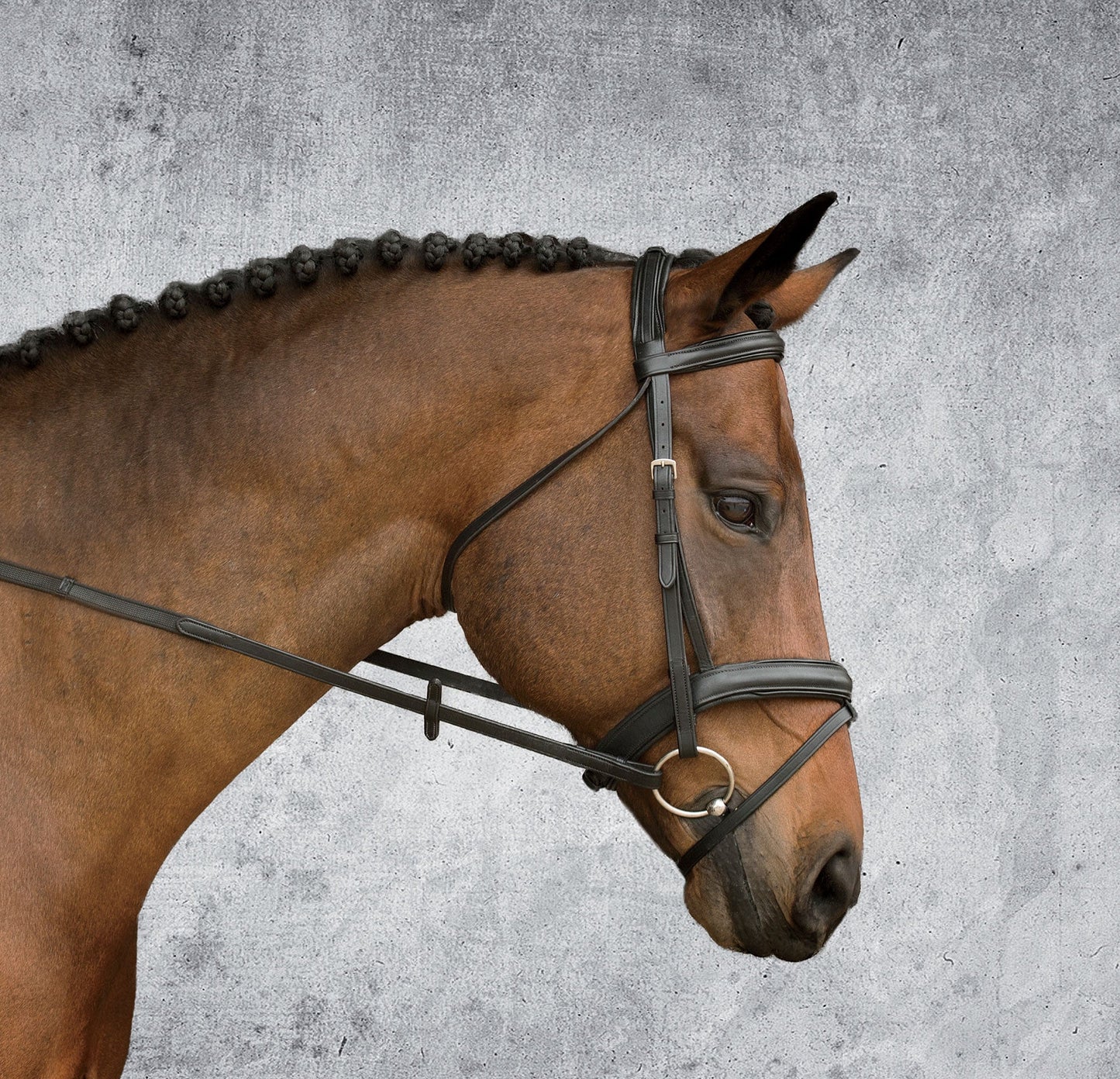Single Crown Padded Dressage Bridle