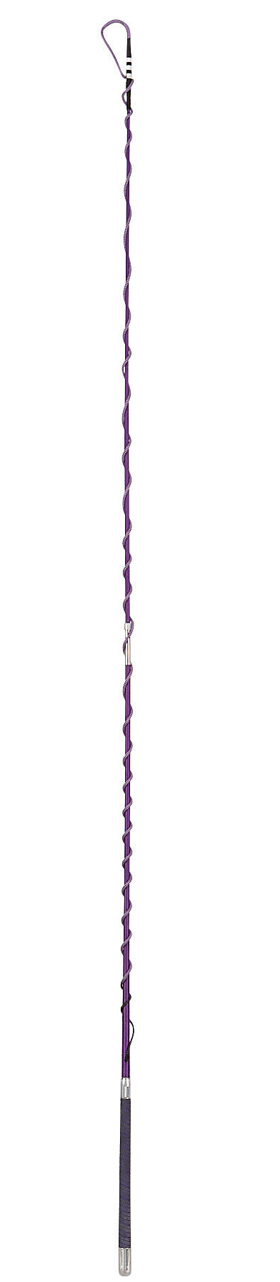 Collapsible Lunge Whip