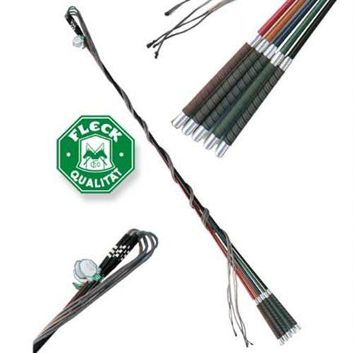 Color Lunge Whip
