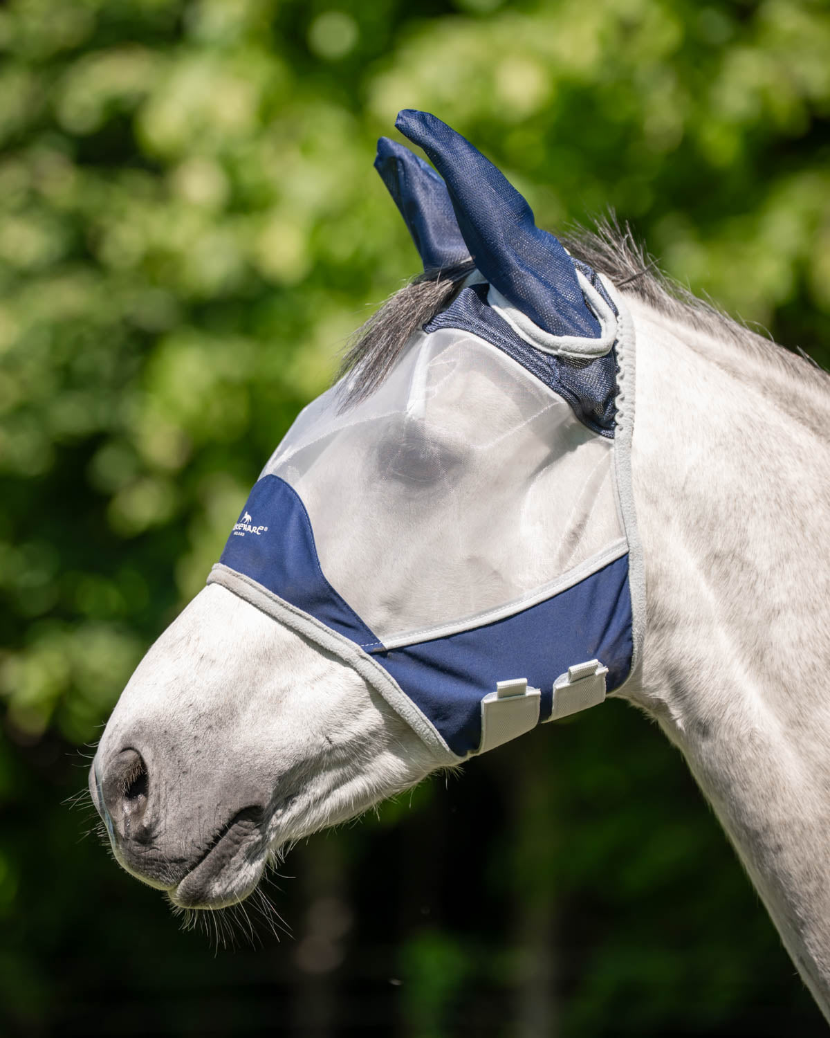 Ireland Shield Fly Mask