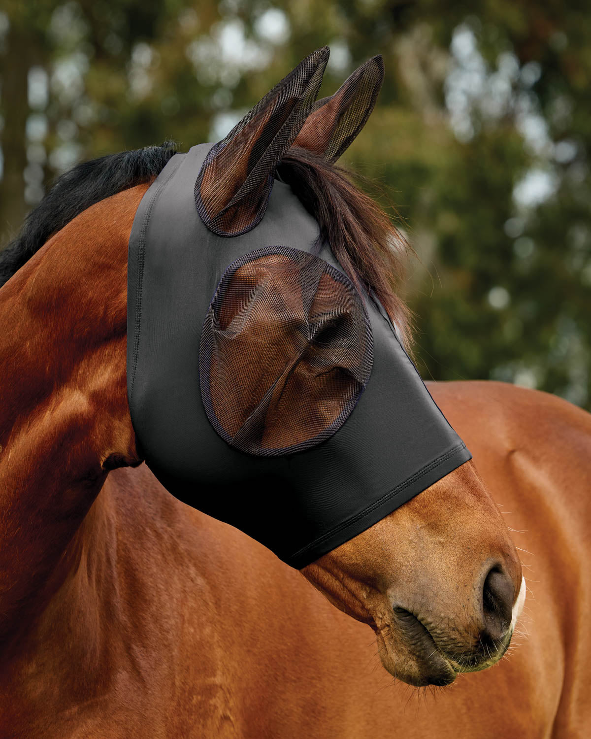 Deluxe Stretch Fly Mask with Ears