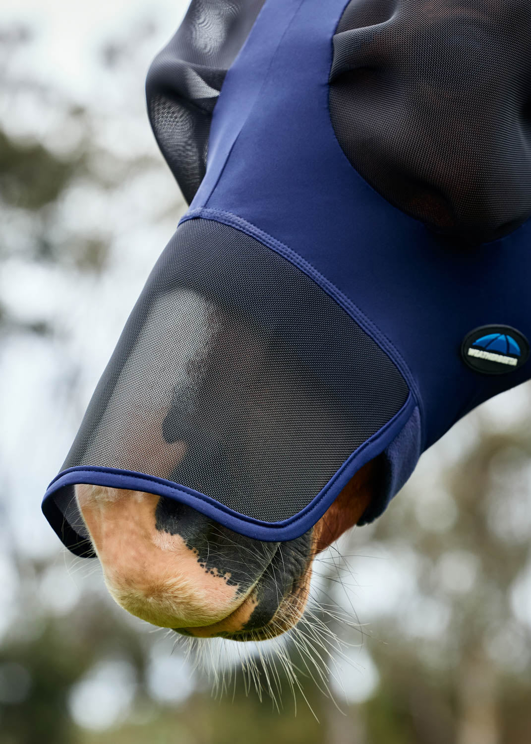 Luxe Stretch Fly Mask