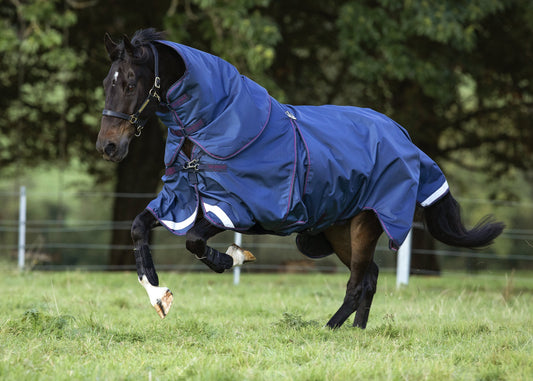 Optimo Turnout Blanket