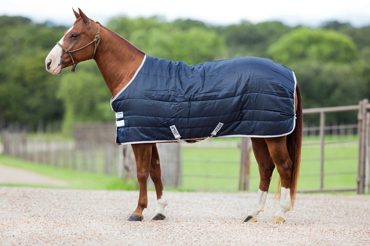 Stable Blanket