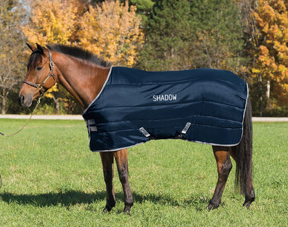 Stable Blanket