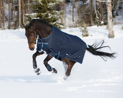 Bravo 12 Heavyweight Turnout Blanket