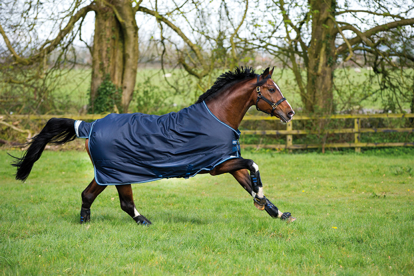 Bravo 12 Heavyweight Turnout Blanket