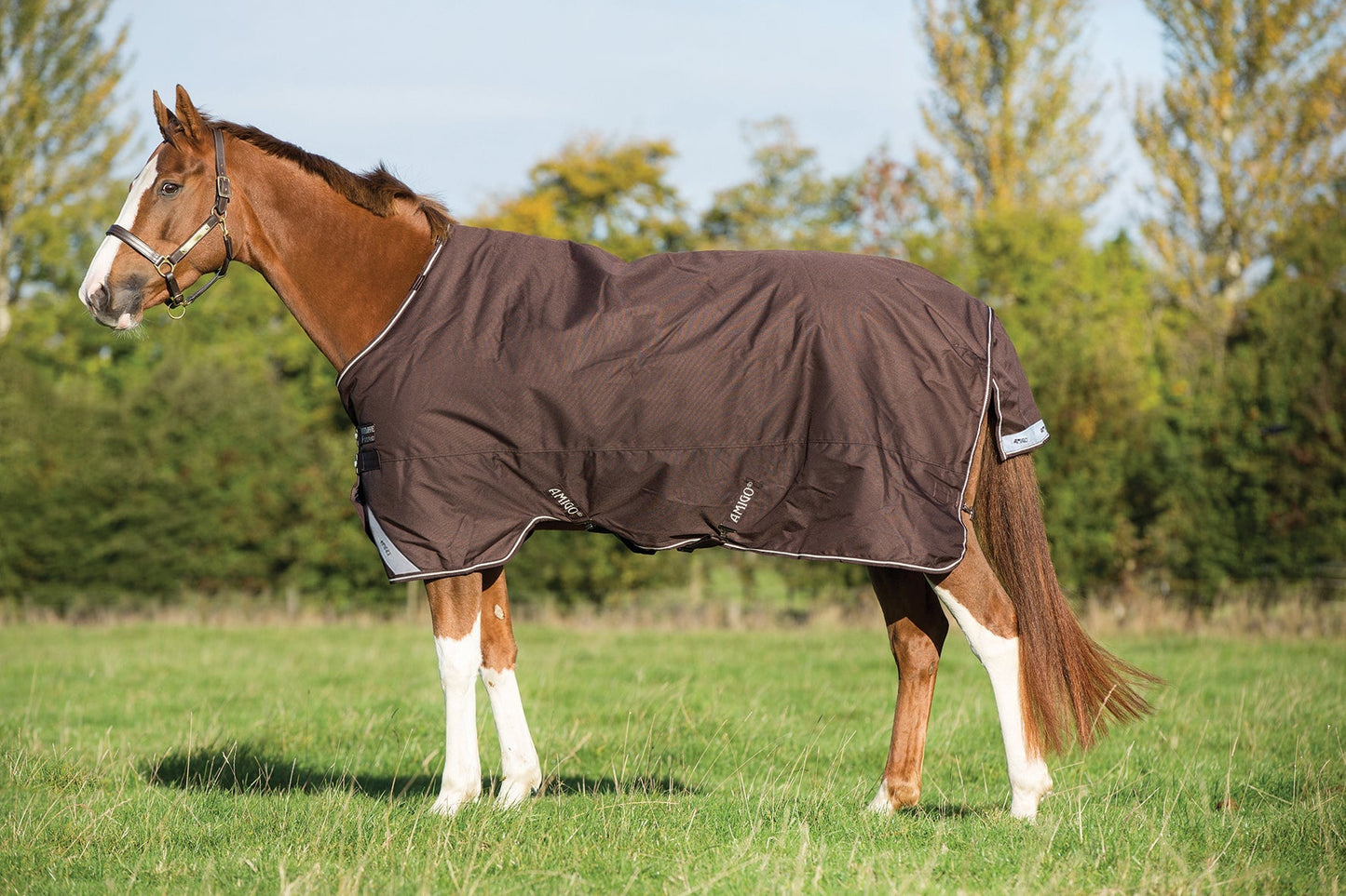 Bravo 12 Heavyweight Turnout Blanket