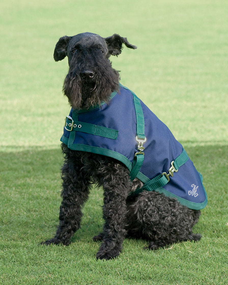 Dog Turnout Sheet