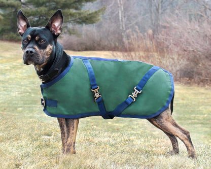 Dog Turnout Sheet