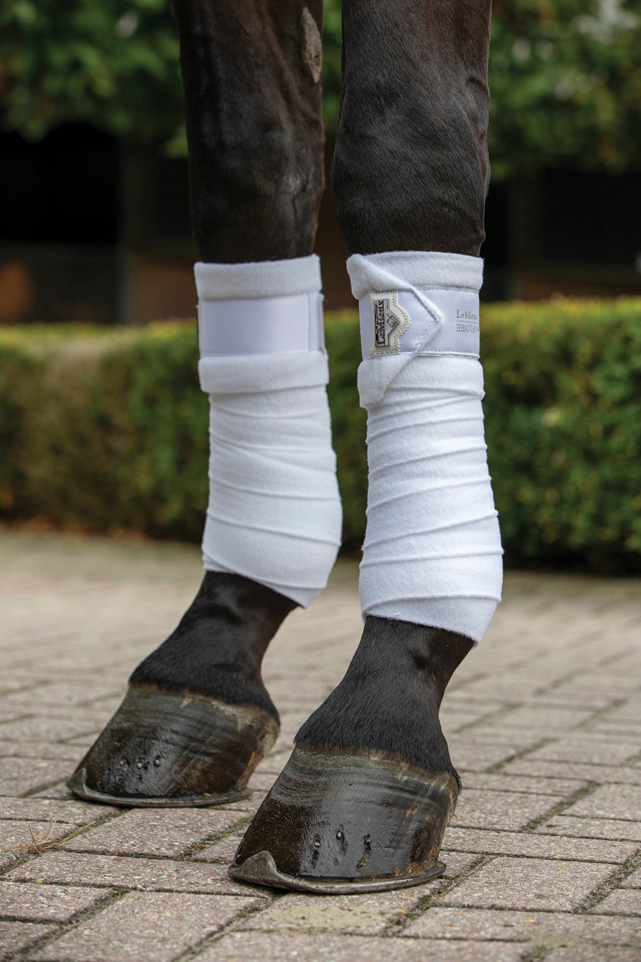Loire Polo Bandages