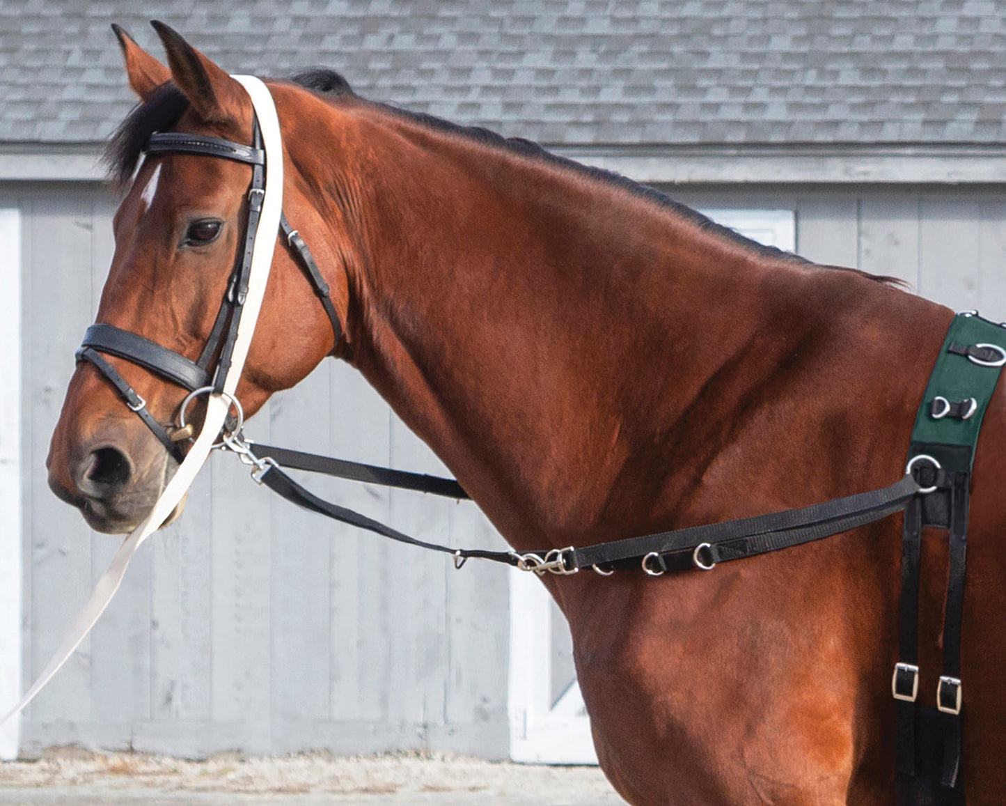 Side Reins with Elastic