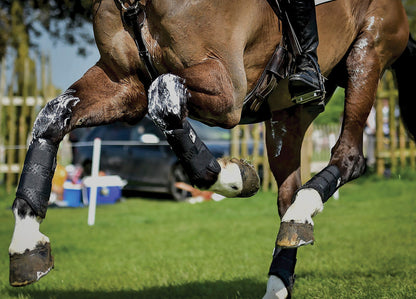 XC Elite Hind Boot with Technology