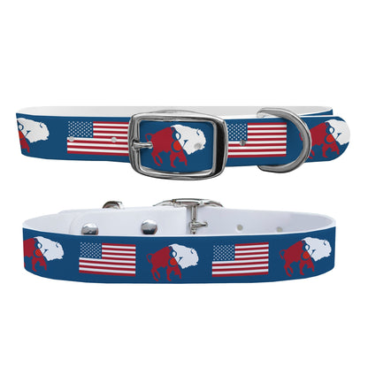 C4 Dog Collar