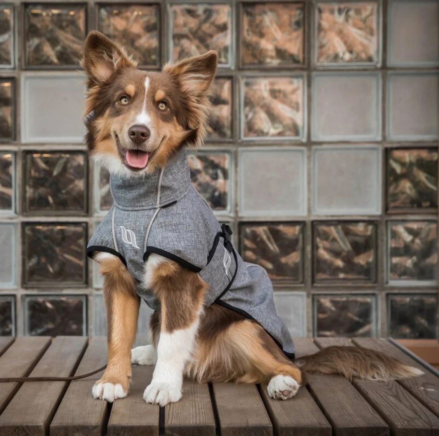 Nella Medium Dog Coat