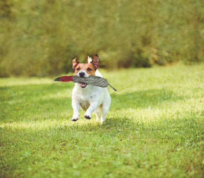 Duck Dog Toy