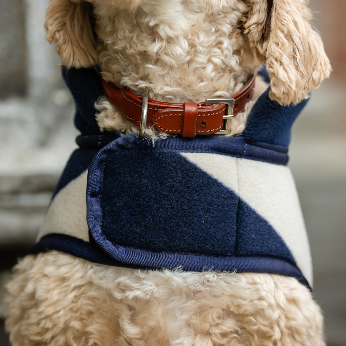 Ireland Newmarket Dog Fleece XXS-M