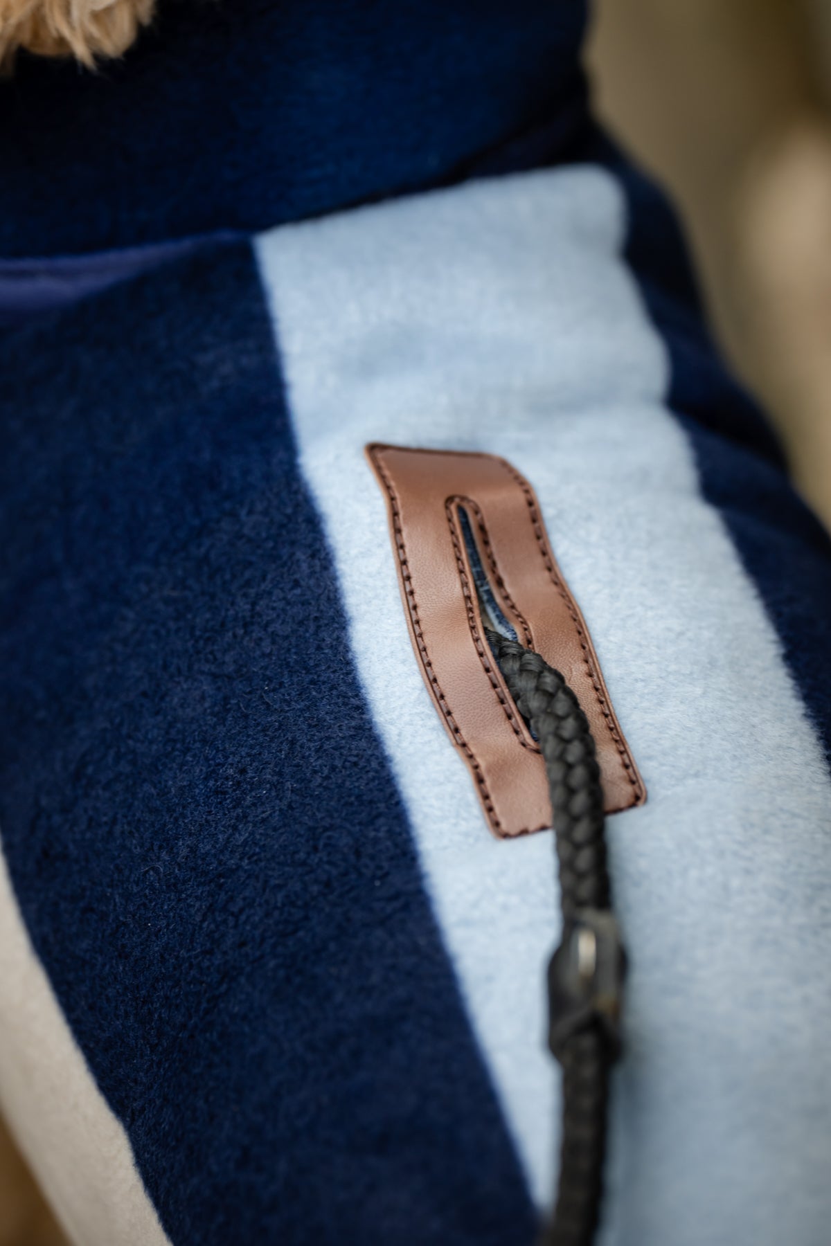 Ireland Newmarket Dog Fleece XXS-M