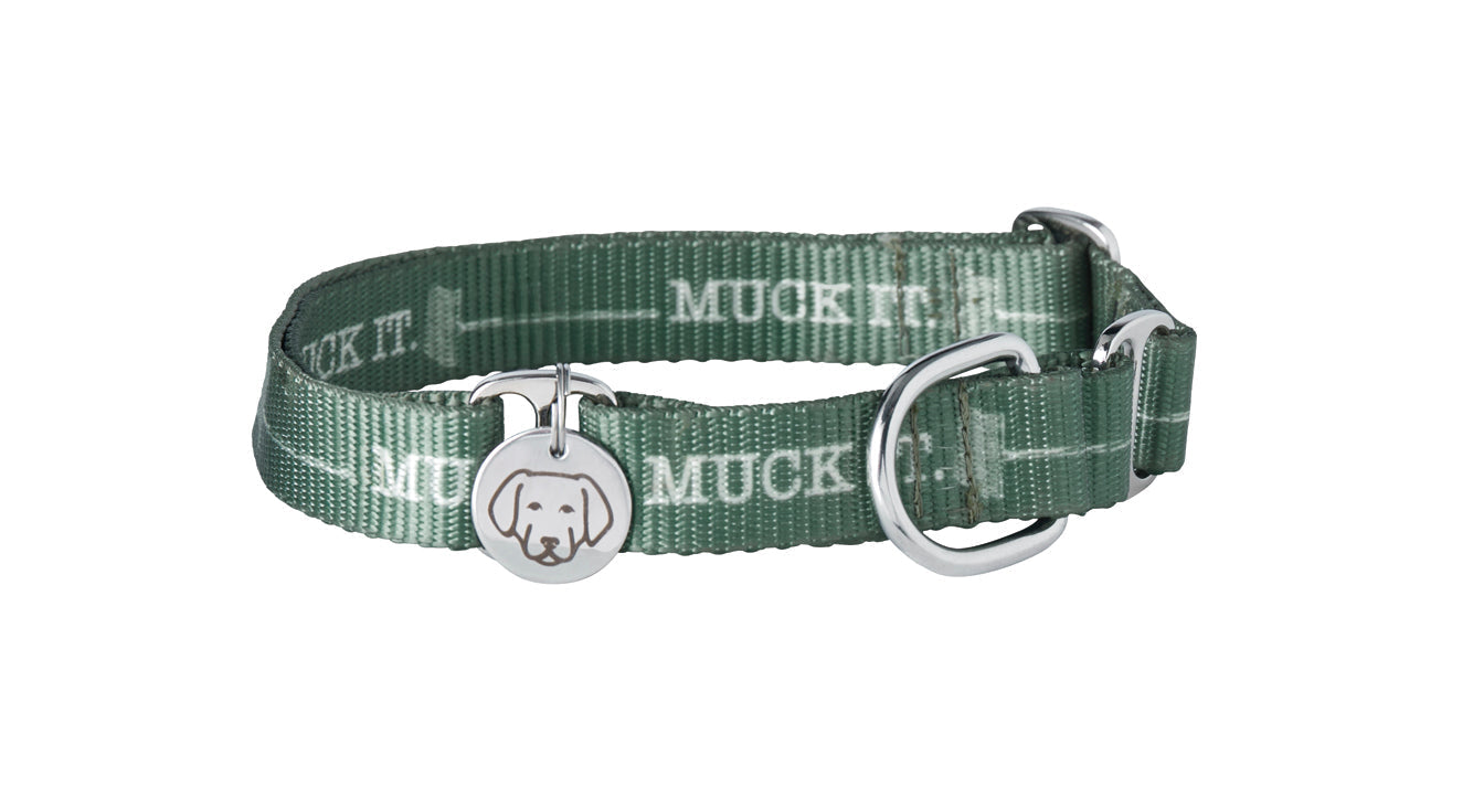 Dog Martingale Collar