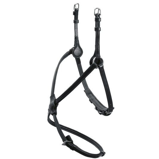 Rio Select Noseband