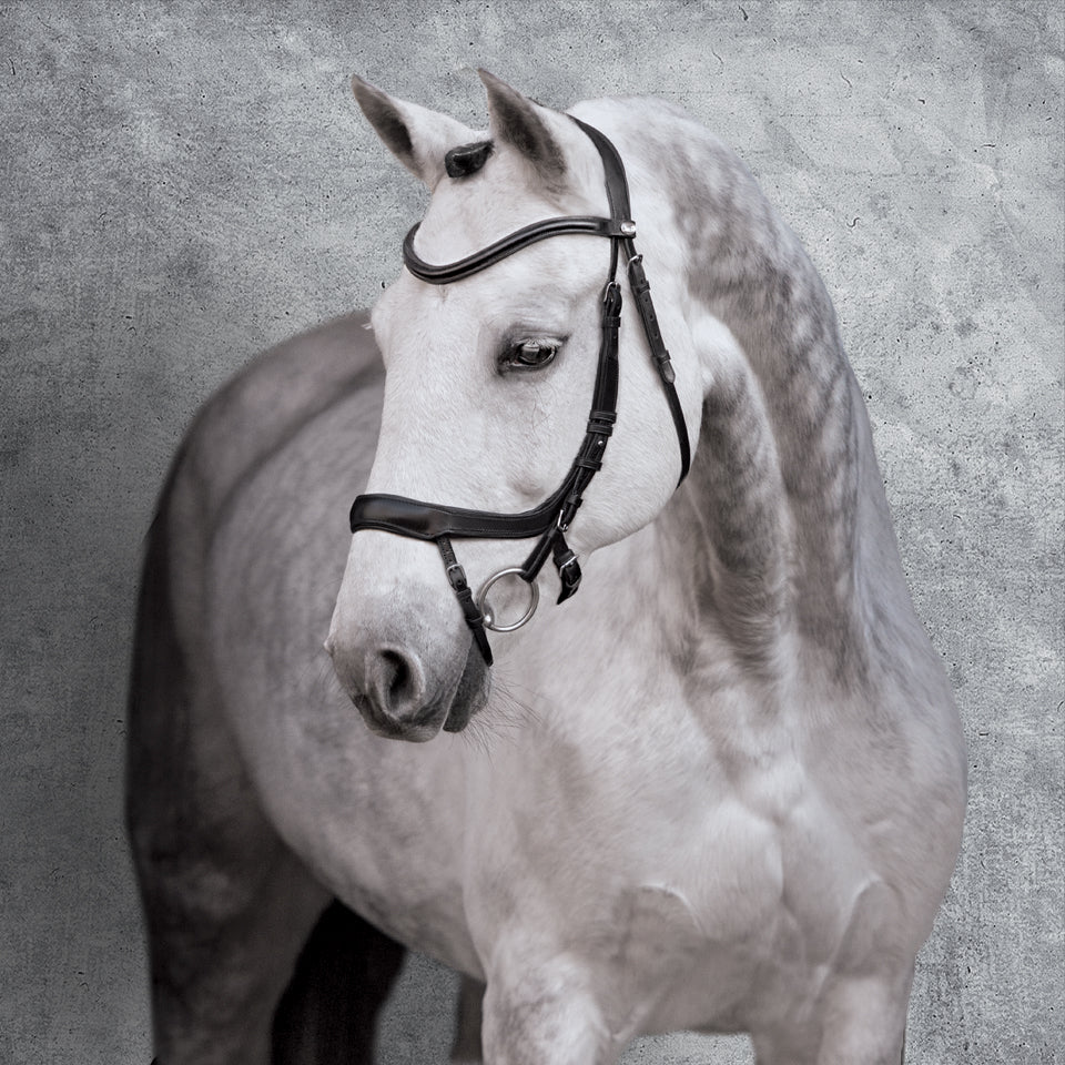 Equitus Alpha Bridle