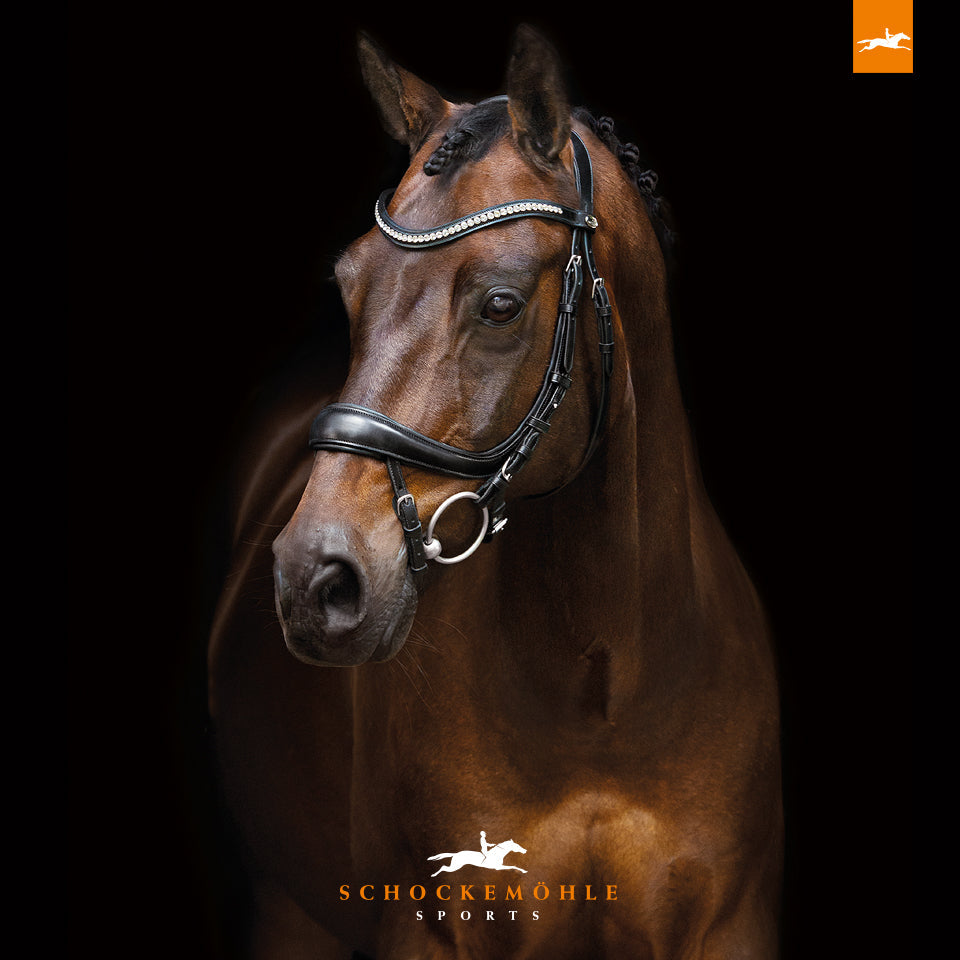 Equitus Beta Bridle