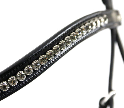 Equitus Beta Bridle