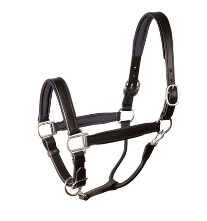 Padded Leather Halter Crownpiece