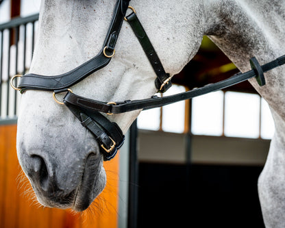 Ireland Micklem2 Multibridle USA with Reins