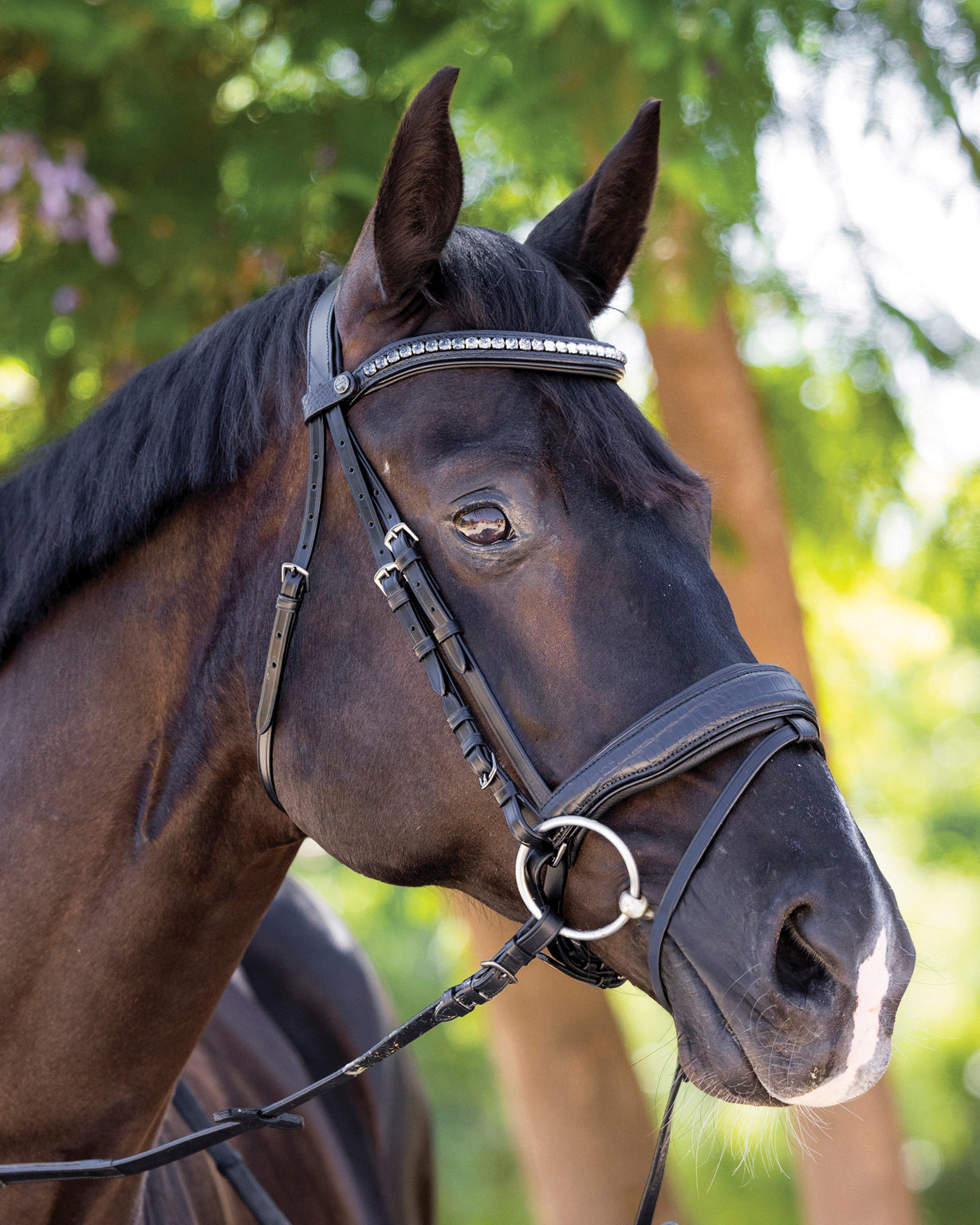 Doc Marten Snaffle Bridle